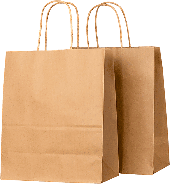 Kraft paper bags with twisted rope handles